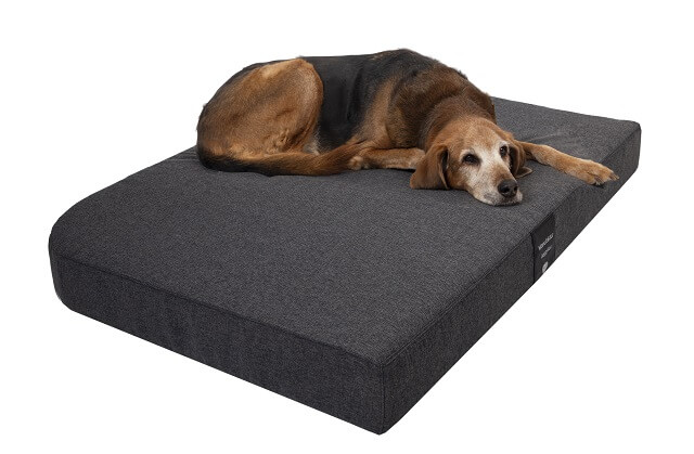 Hundematte Medical anthrazit